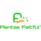 Plantas Faitful S.A.